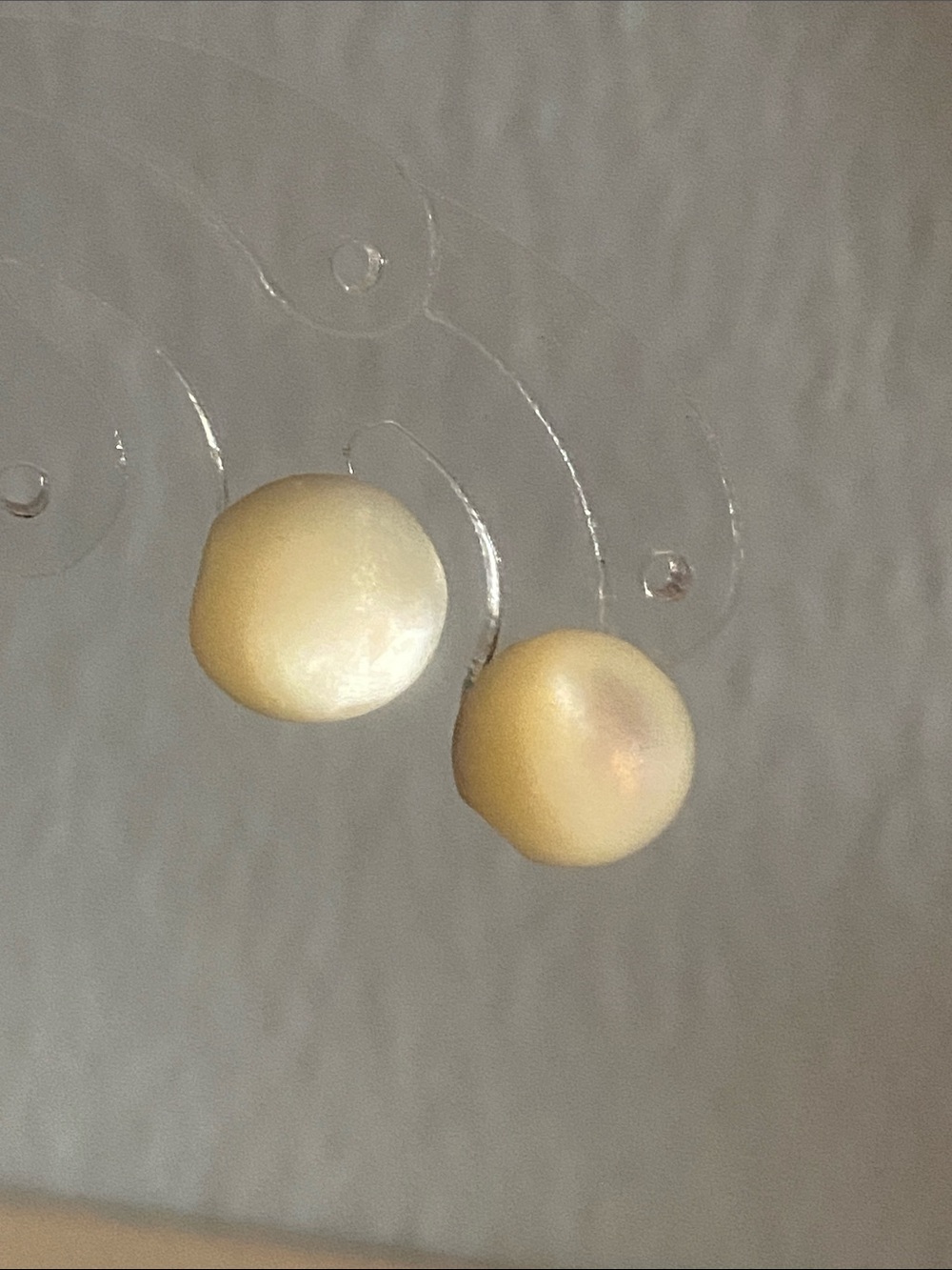 Freshwater Pearl Stud Earrings in Cream/Yellowish